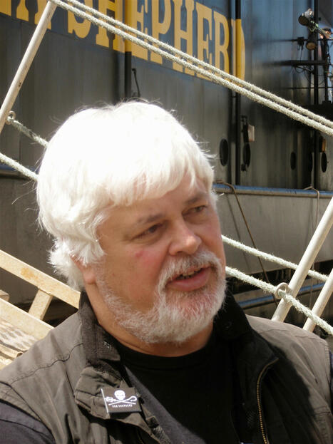 Pourquoi Paul Watson ne sera probablement pas extradé vers le Japon ...