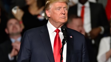 "Les dominos de la lâcheté" : cet entrepreneur fustige l'attitude des patrons de la tech depuis l'élection de Trump ...